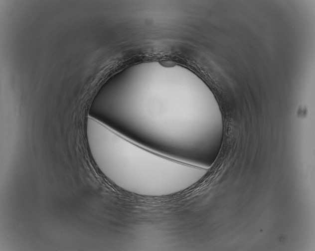 X0000091571153200708200944