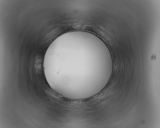 X0000091571154200708200944