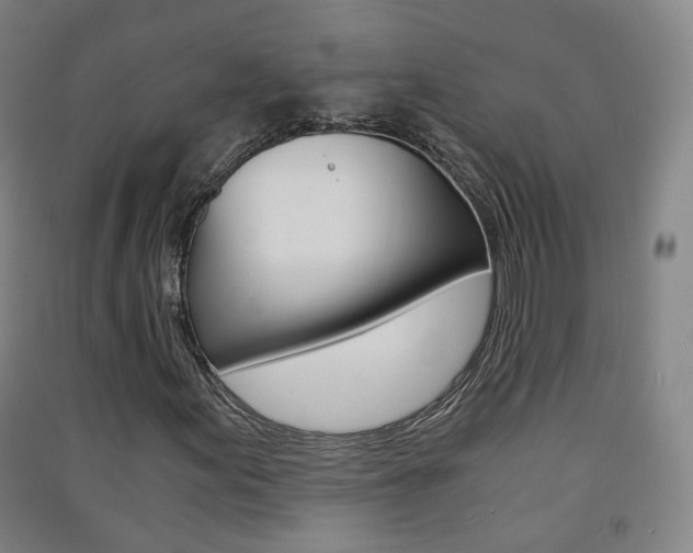 X0000091571155200708200944