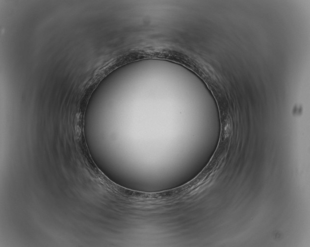 X0000091571156200708200944