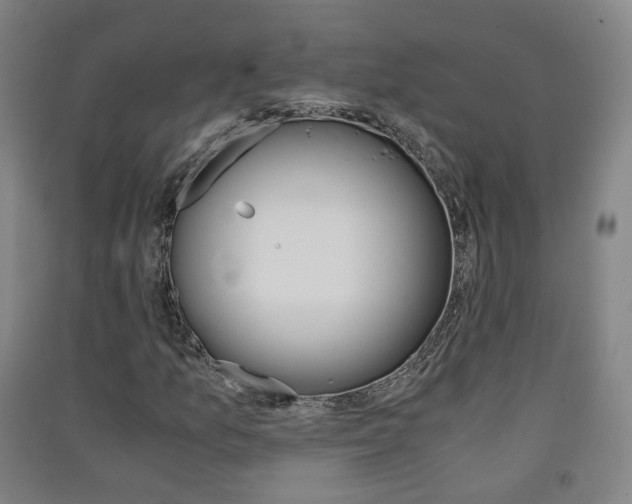 X0000091571157200708200944