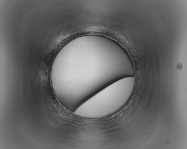 X0000091571158200708200944