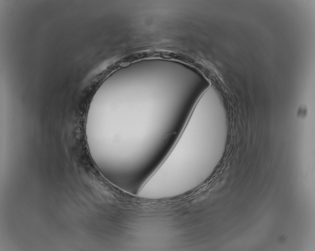 X0000091571159200708200944