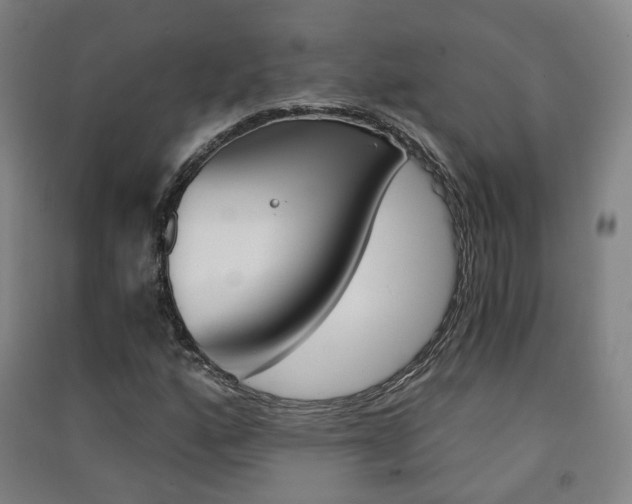 X0000091571160200708200944