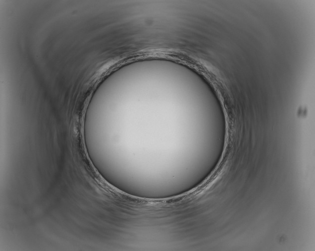 X0000091571161200708200944