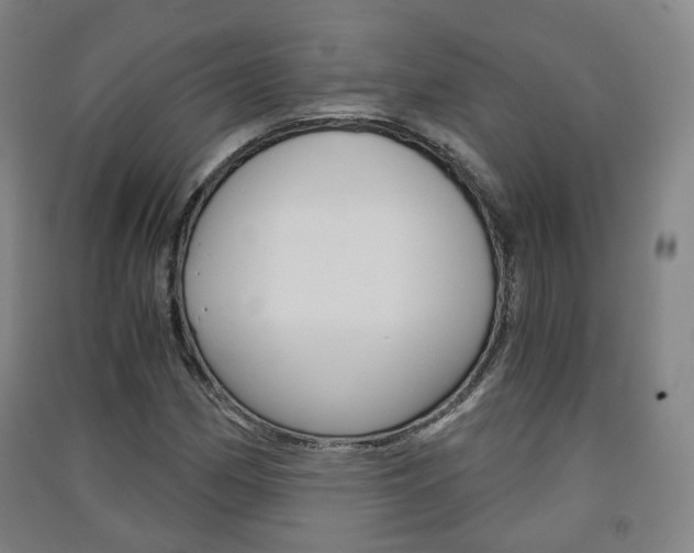 X0000091571162200708200944