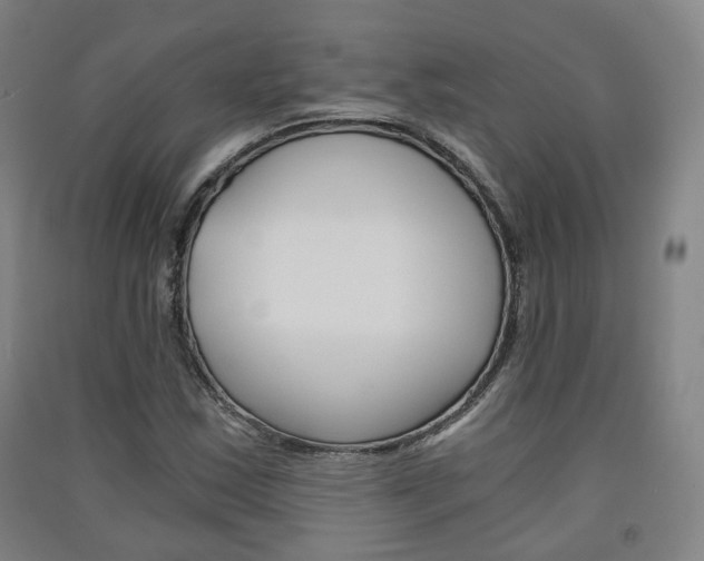 X0000091571163200708200944