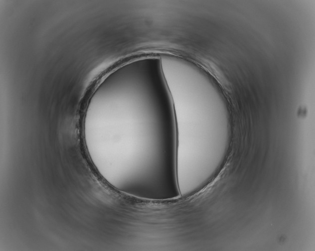 X0000091571164200708200944