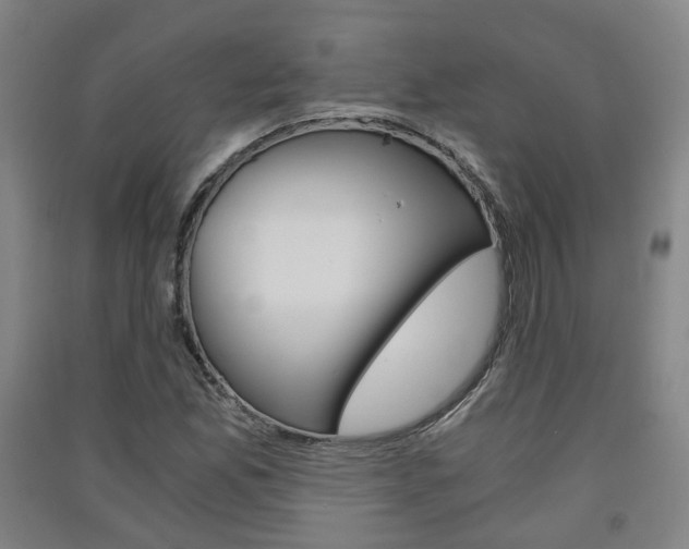X0000091571165200708200944
