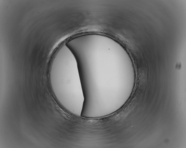 X0000091571166200708200944