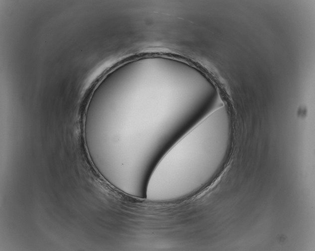X0000091571167200708200944