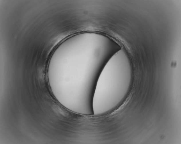 X0000091571170200708200944