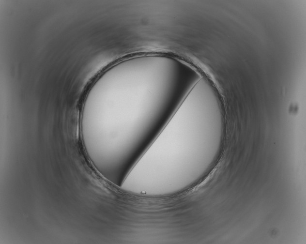 X0000091571171200708200944