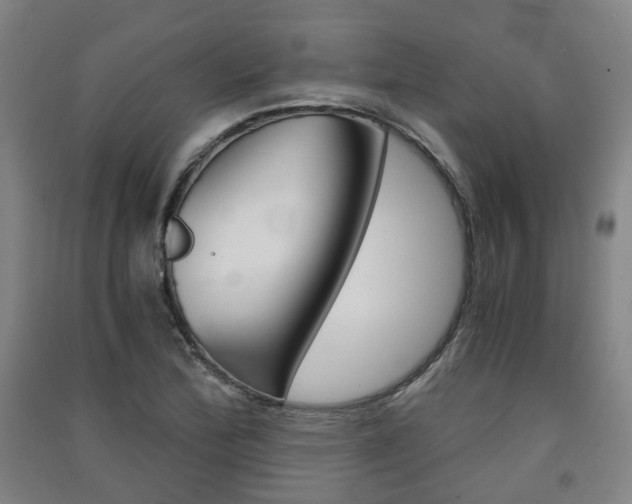 X0000091571172200708200944