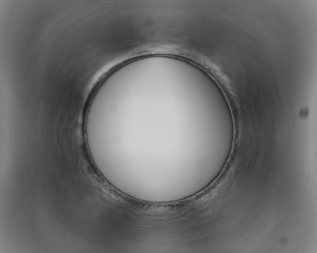X0000091571174200708200944