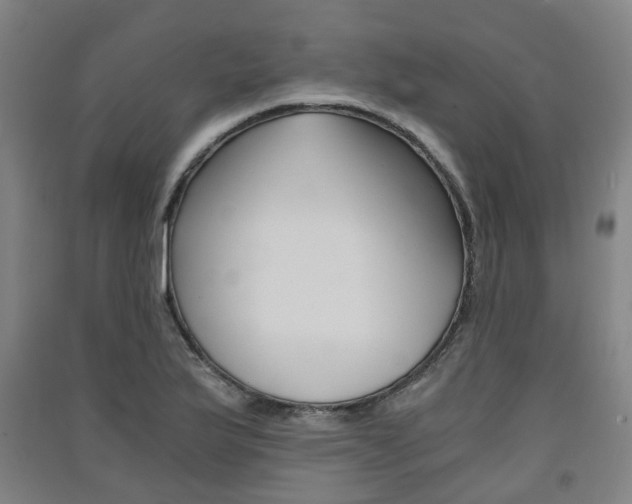 X0000091571175200708200944