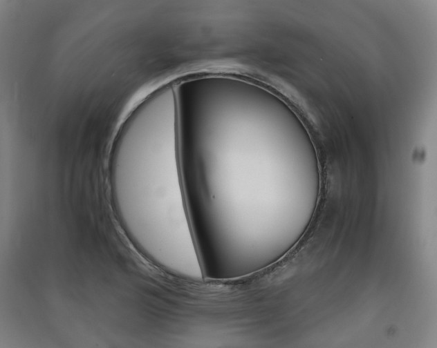X0000091571176200708200944