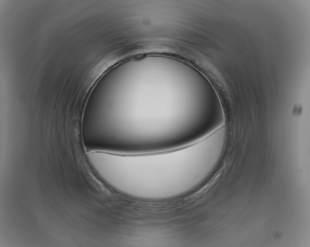 X0000091571177200708200944