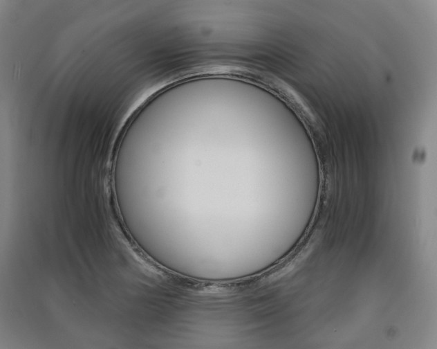 X0000091571178200708200944