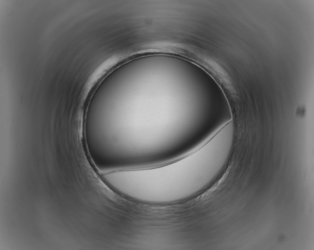 X0000091571180200708200944