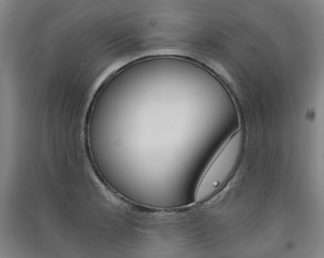 X0000091571181200708200944