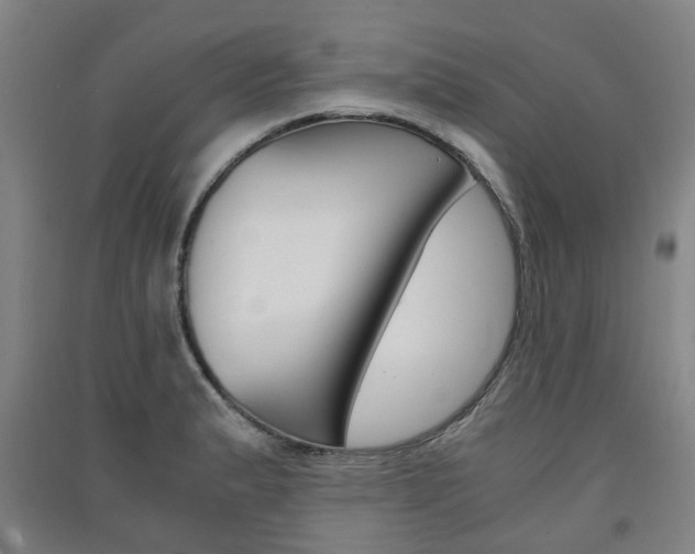 X0000091571183200708200944