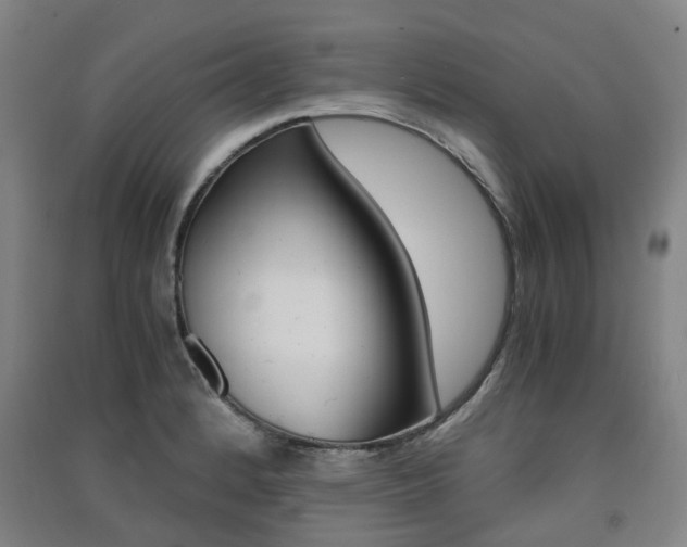 X0000091571184200708200944