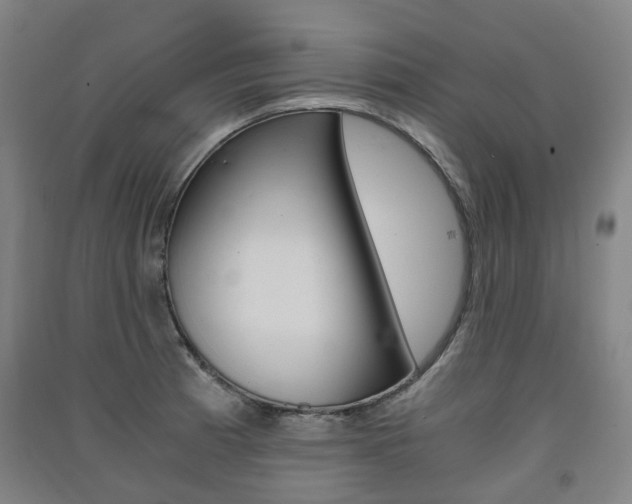 X0000091571185200708200944