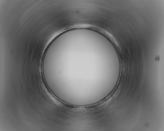 X0000091571186200708200944