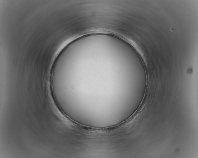 X0000091571187200708200944