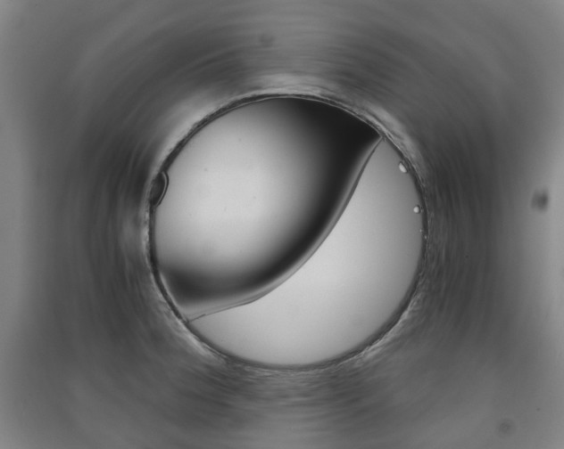 X0000091571188200708200944