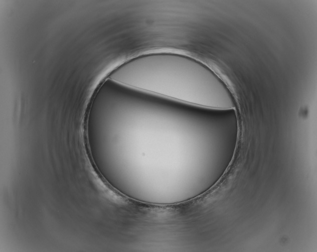 X0000091571189200708200944
