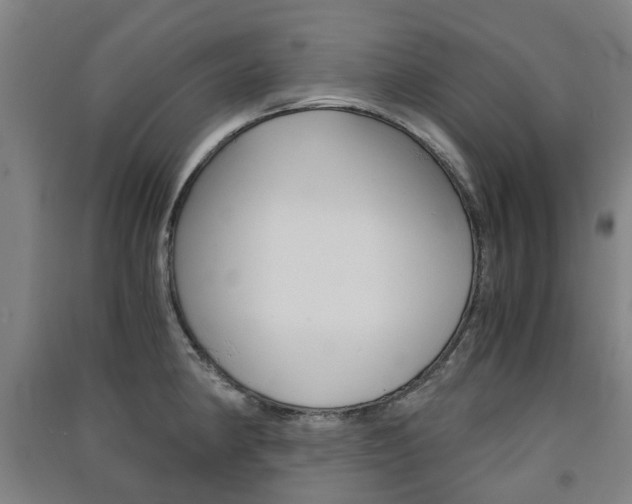 X0000091571190200708200944