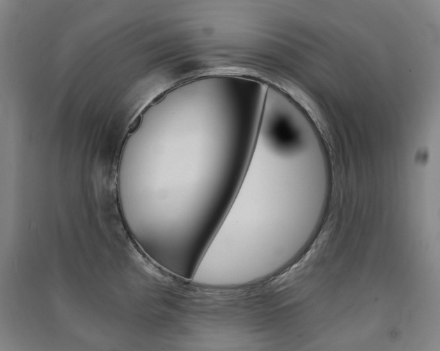X0000091571193200708200944