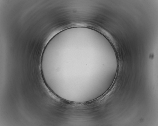X0000091571194200708200944