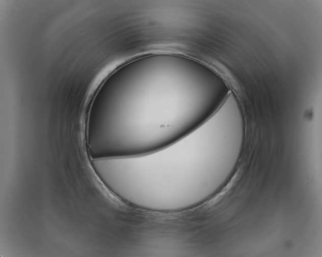 X0000091571196200708200944