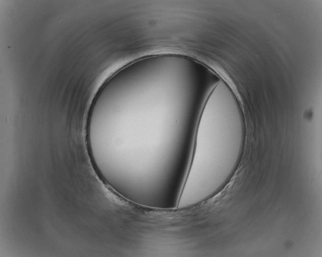 X0000091571197200708200944