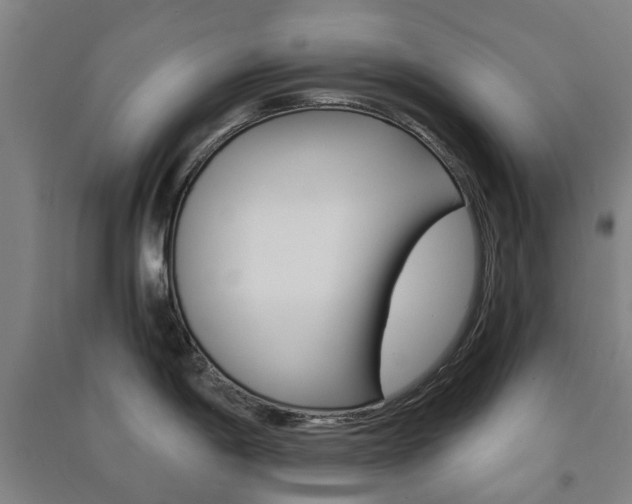 X0000091571198200708200944