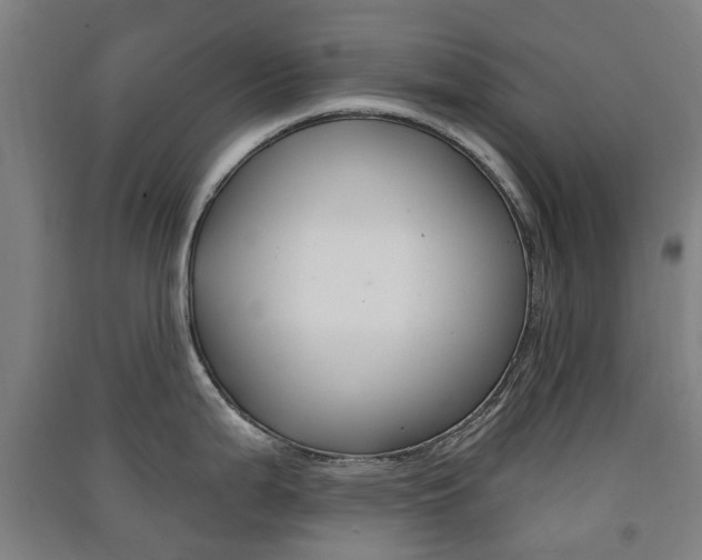 X0000091571199200708200944