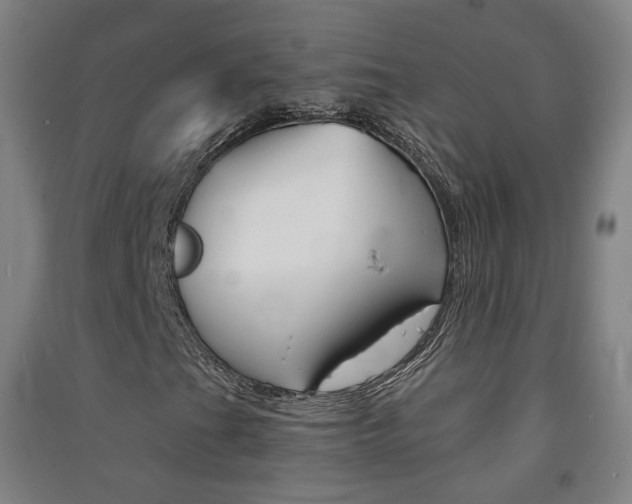 X0000091571201200708200943