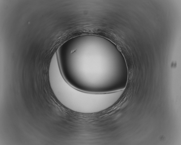 X0000091571202200708200943