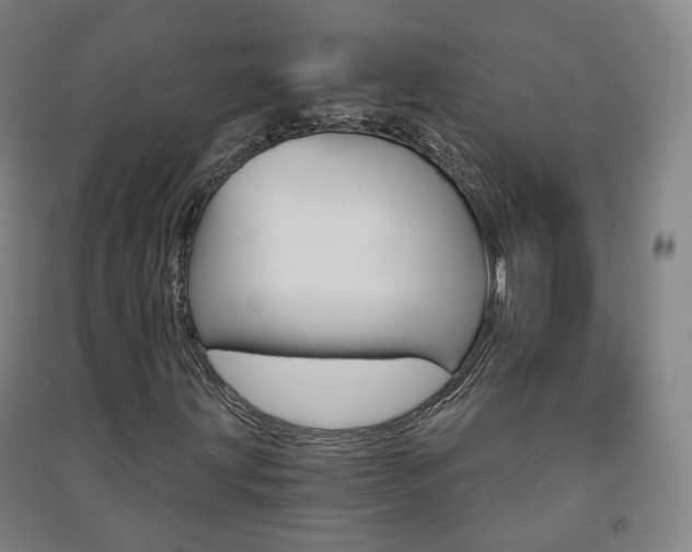 X0000091571203200708200943