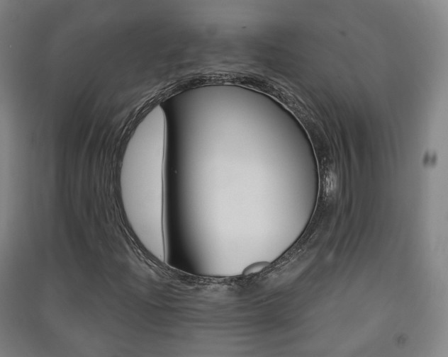X0000091571204200708200943