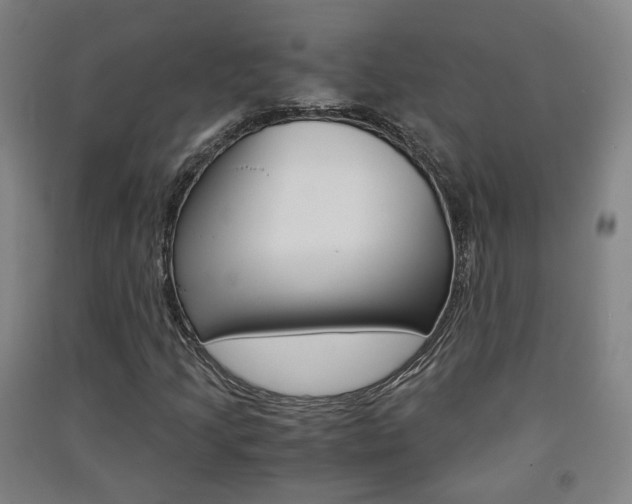 X0000091571205200708200943