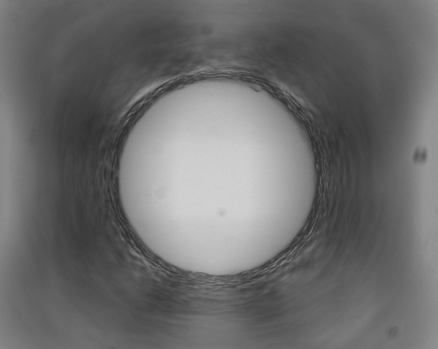 X0000091571206200708200943