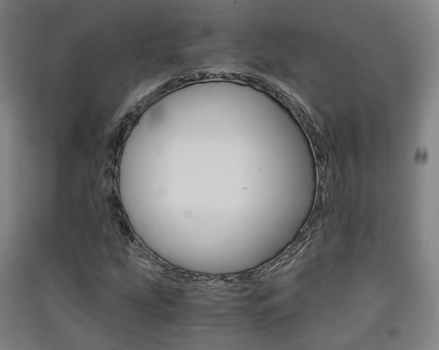 X0000091571207200708200943
