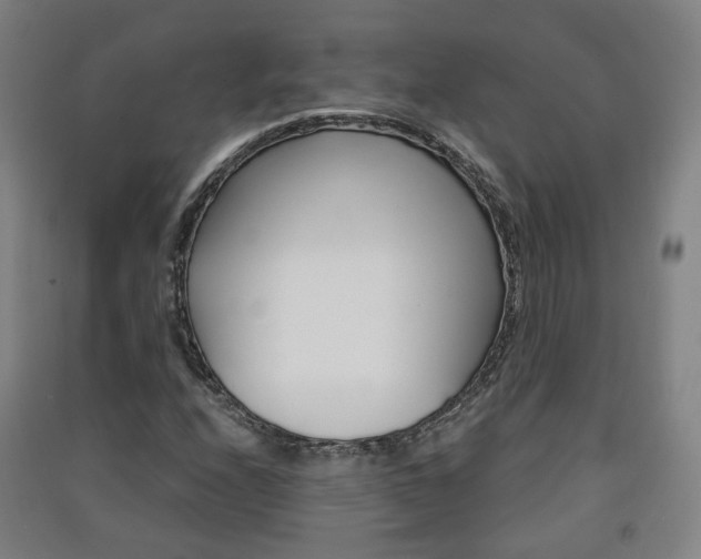 X0000091571208200708200943