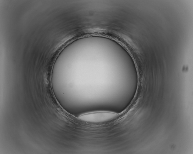 X0000091571209200708200943
