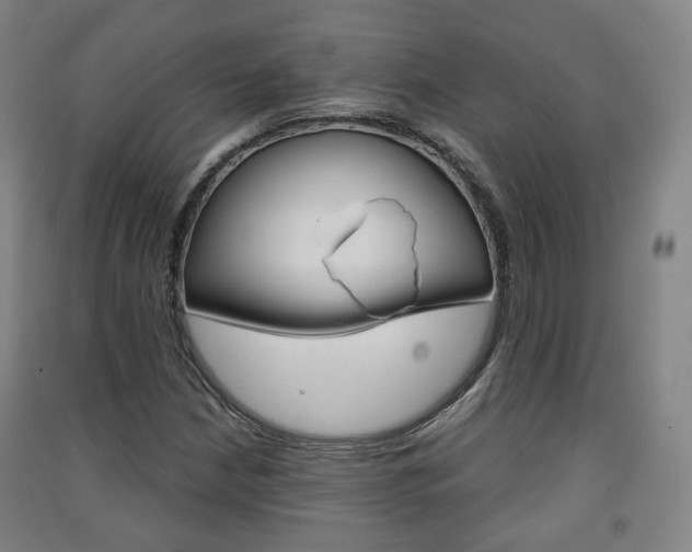 X0000091571210200708200943