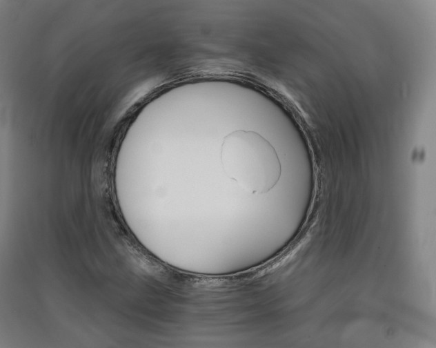 X0000091571211200708200943